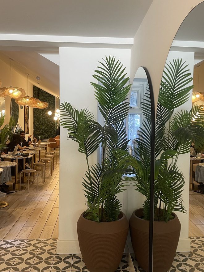 Arched white dining room with rattan pendants and potted palms